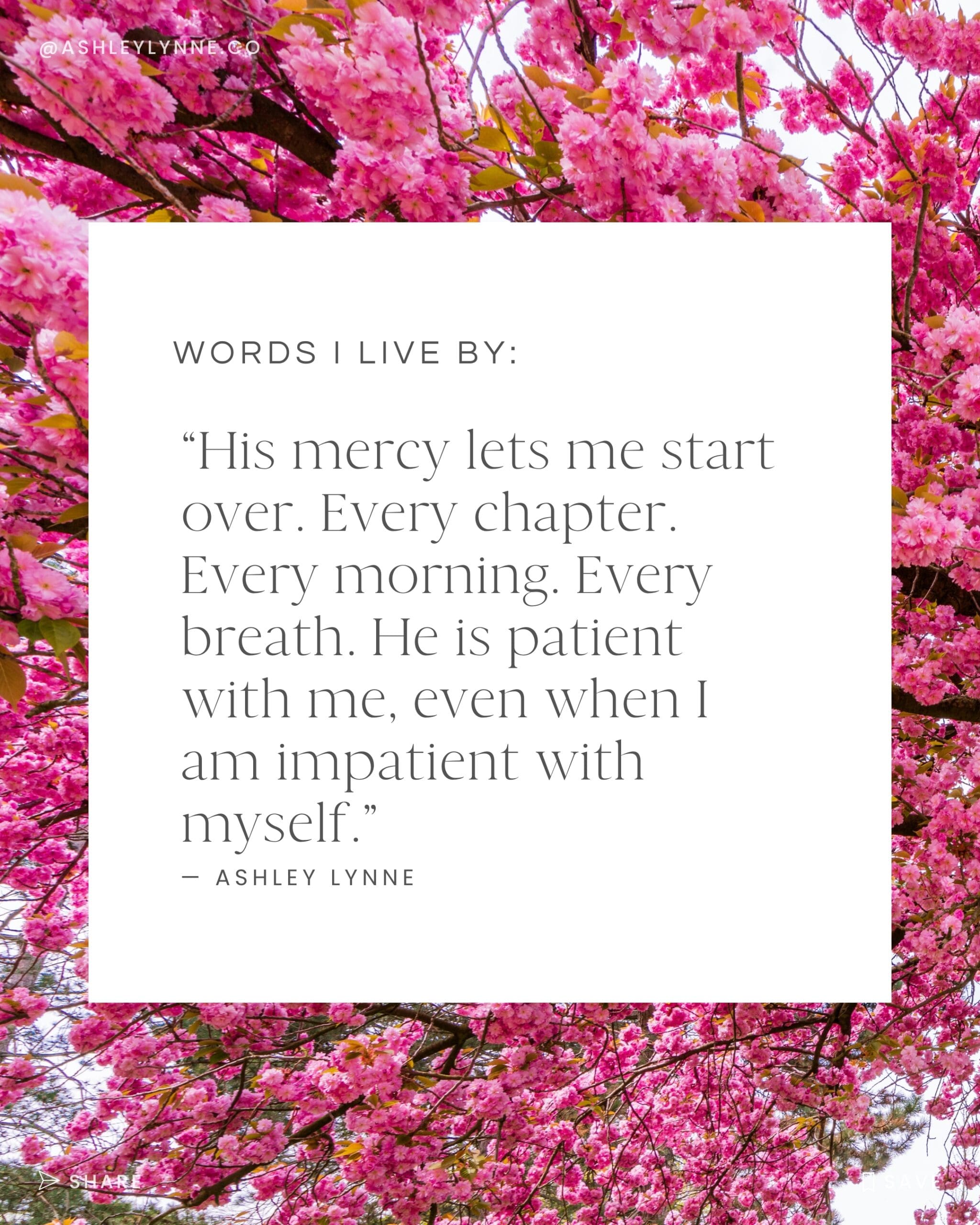 Cherry blossom branches softly blooming in the background of a faith-based quote about finding a closer relationship with God.